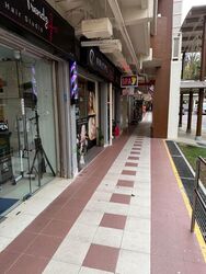 Tiong Bahru Orchid (D3), Shop House #506736971